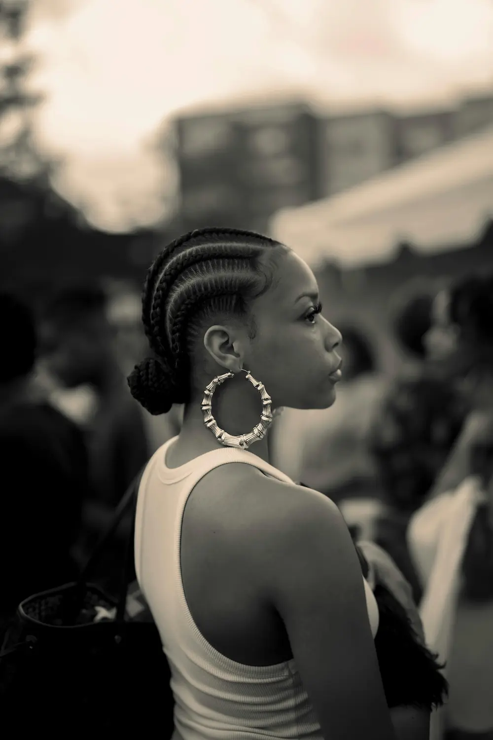 Braiding hair selection